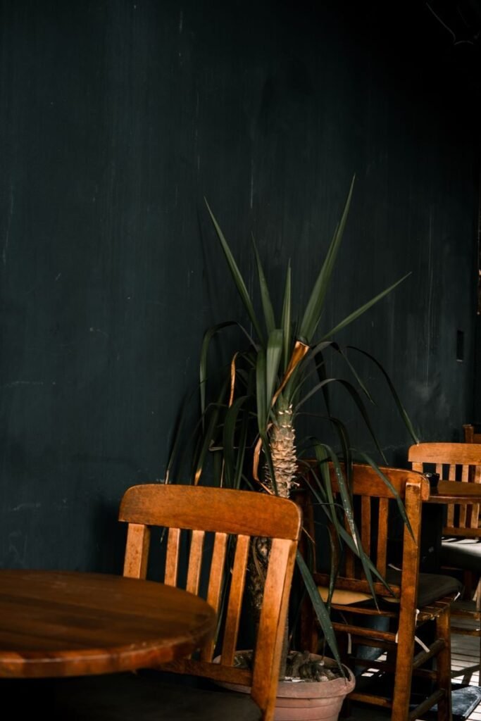 A serene café setting featuring wooden chairs, tables, and a lush green plant against a dark wall.