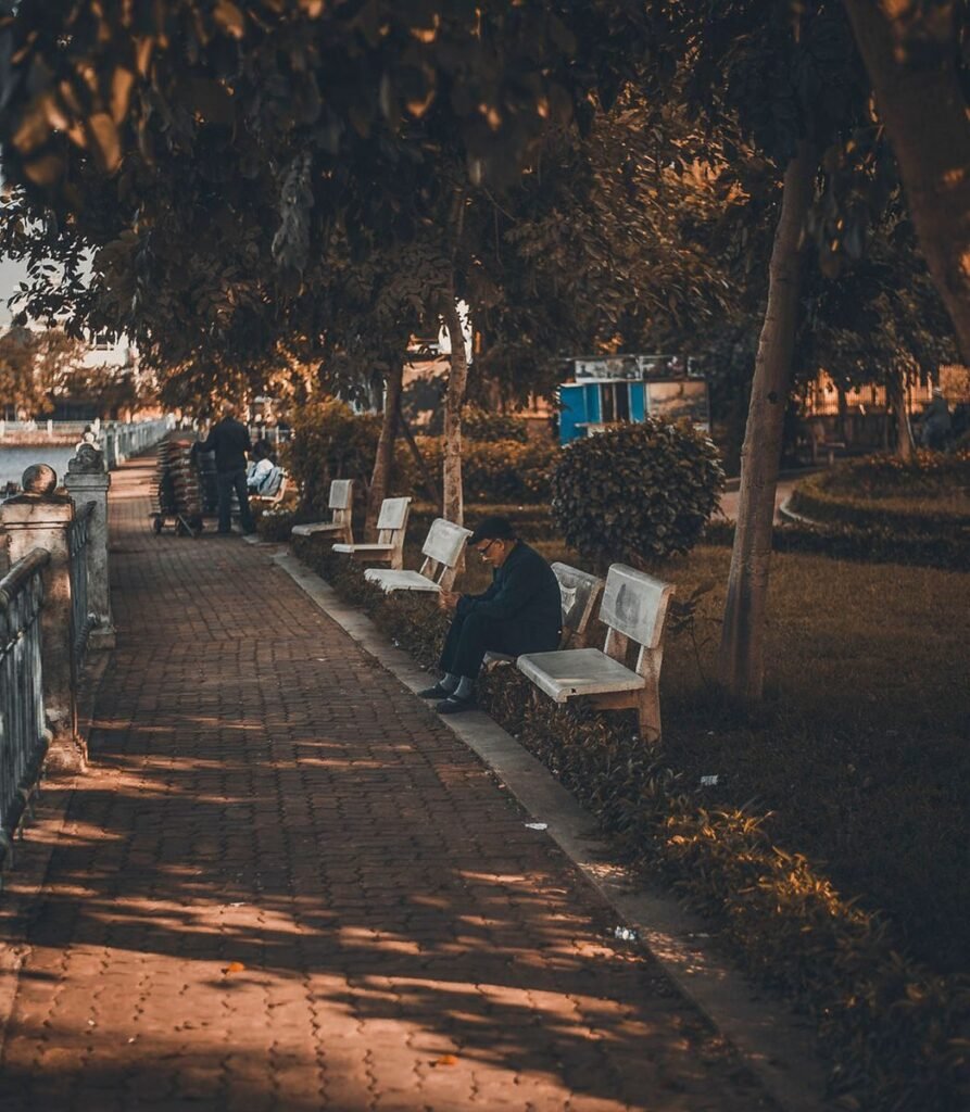 A man sits quietly on a bench in a serene park, surrounded by lush trees and soft sunlight.