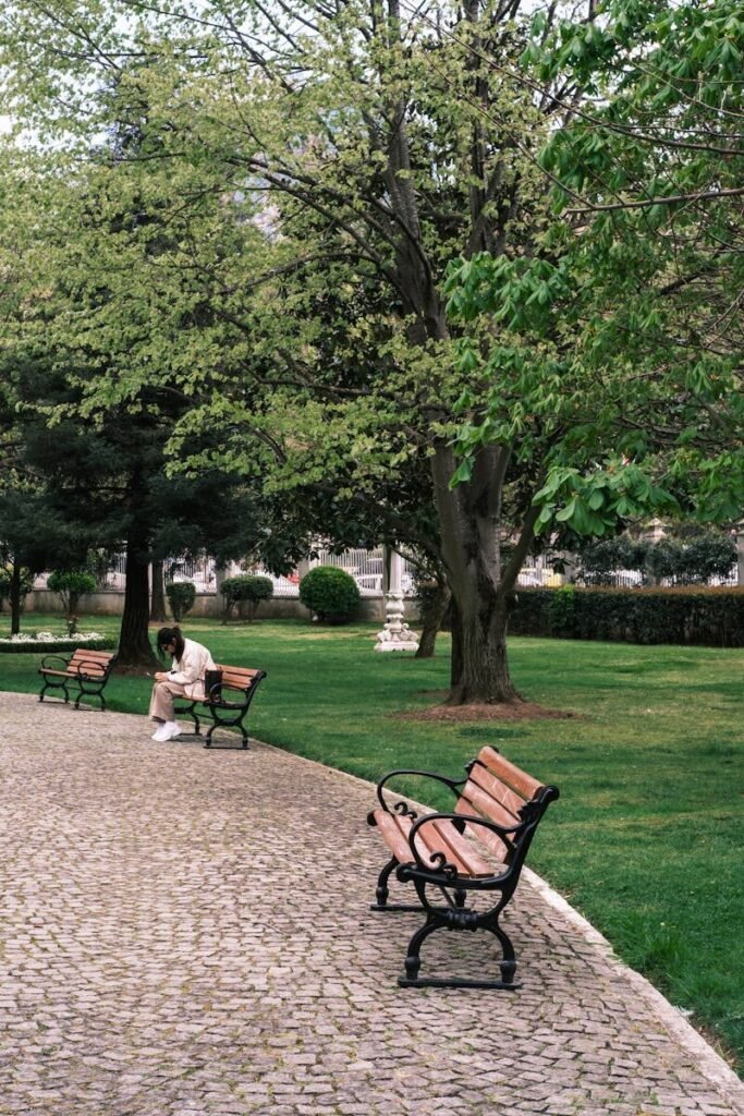 A person enjoys solitude on a park bench during springtime surrounded by lush green trees.