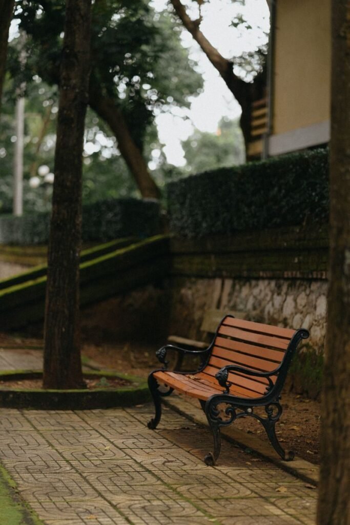 A solitary wooden bench on a serene path, surrounded by lush trees and greenery.