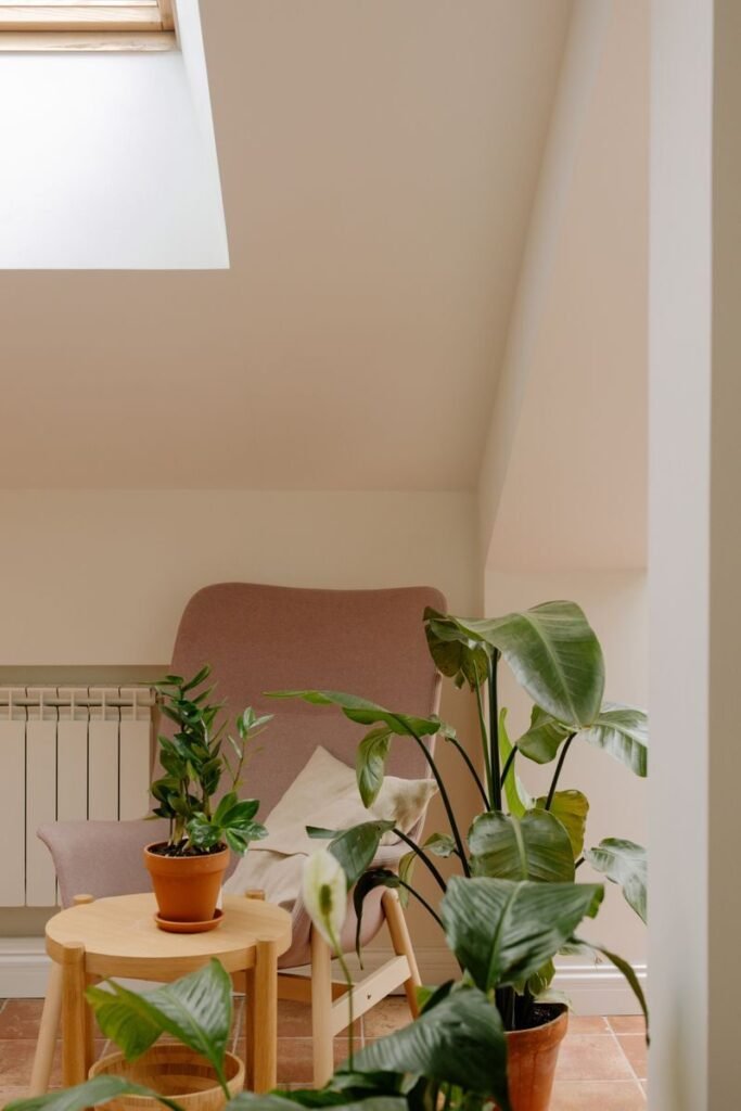 A serene indoor corner featuring a comfy armchair and lush potted plants under a skylight.